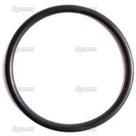 Oring-(nr-11-in-bijlage)-2-bouts-bevestiging