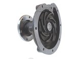 Waterpomp-met-poelie-3132676R93-3132676R94