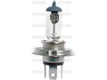 Gloeilamp-OSRAM 12V 60/55W HALOGEN