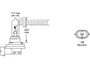 Gloeilamp, 12V, 65W Watts, PGJ19-5 Voet_8